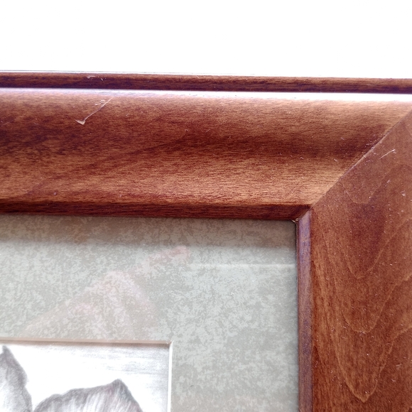 Framed Original Original Drawing of Desert Rose Floral Artwork. Signed by Artist - Picture 16 of 16